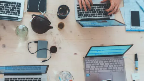 OGC Lawyers on laptops